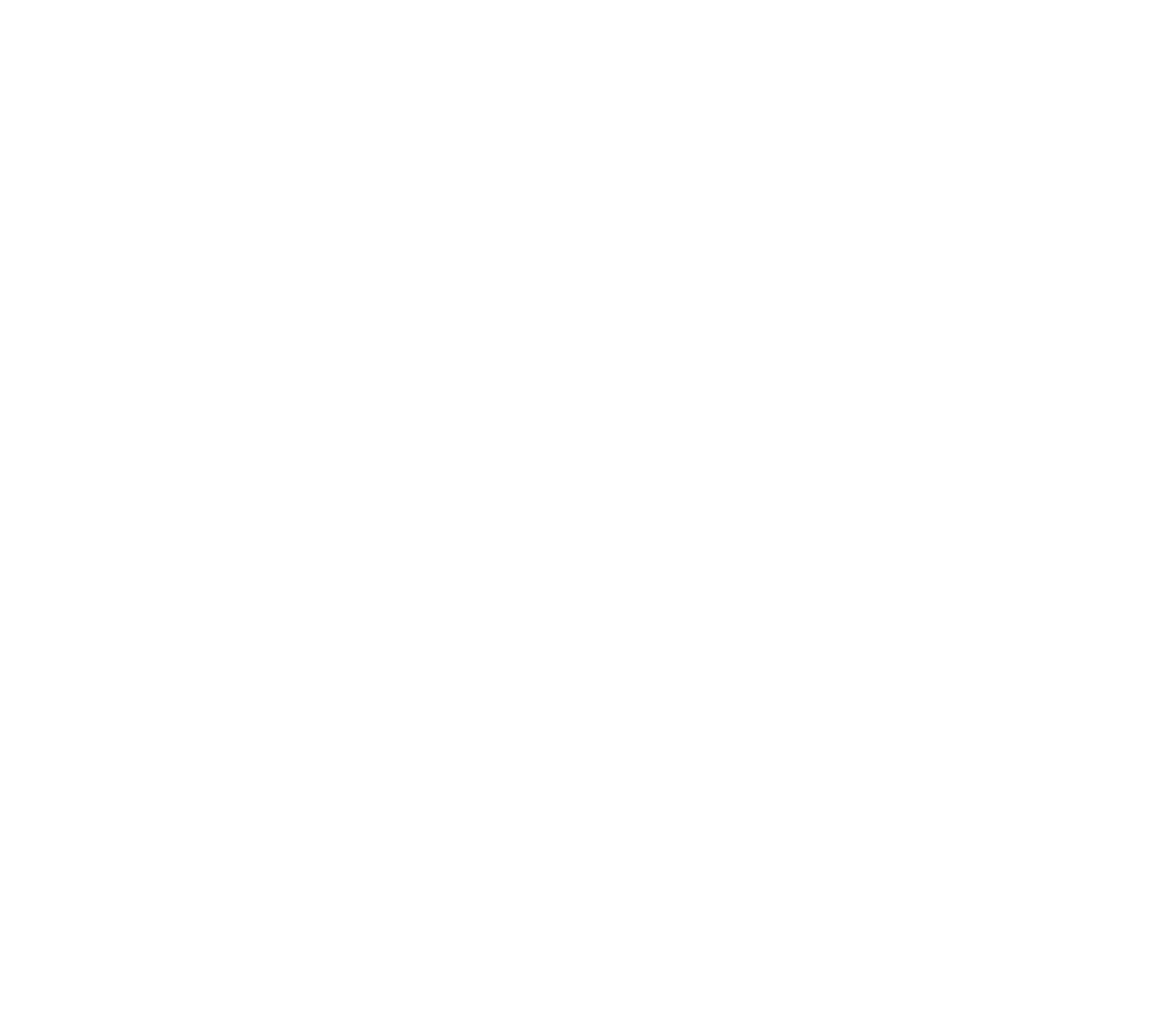 Bristol Roller Derby logo